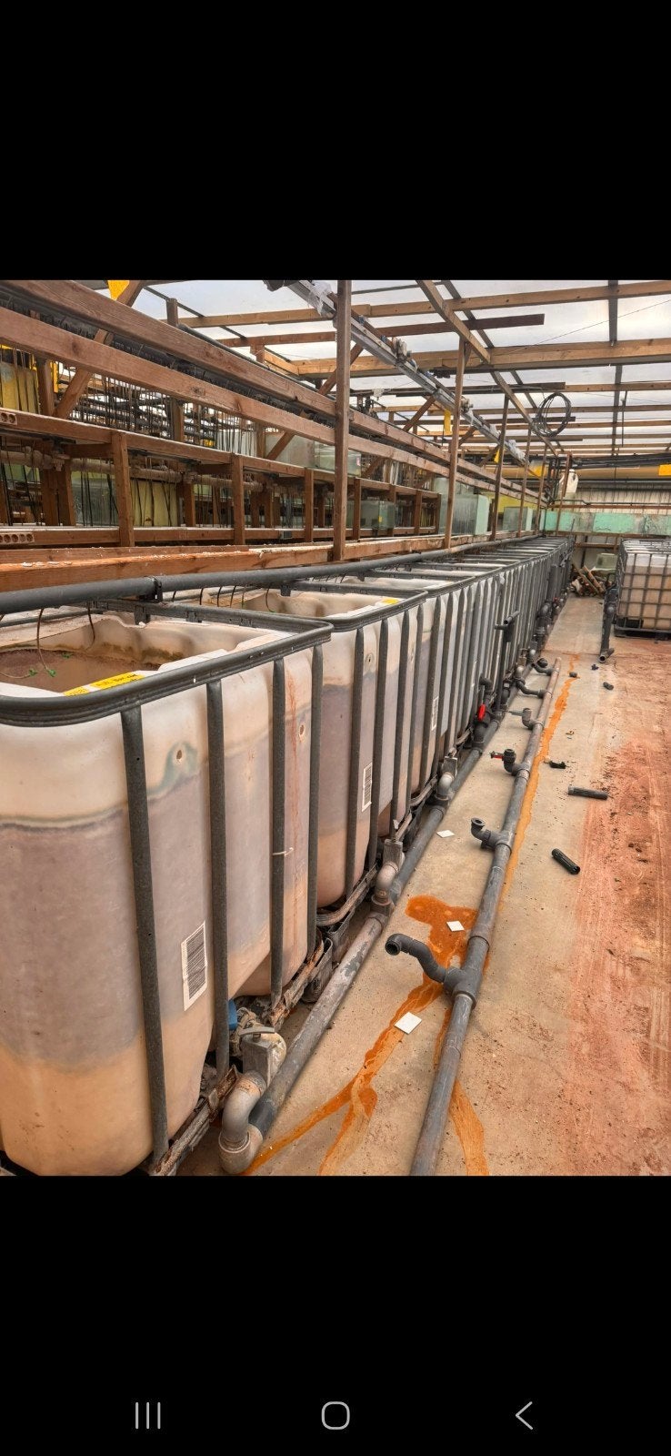 ibc kratten, Ophalen