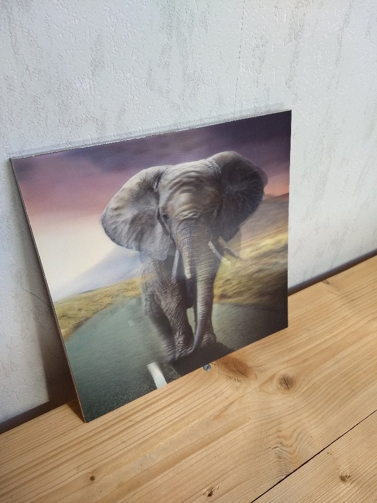 3D afbeelding olifant 30 x 30 cm, Ophalen, Zo goed als nieuw, Overige typen