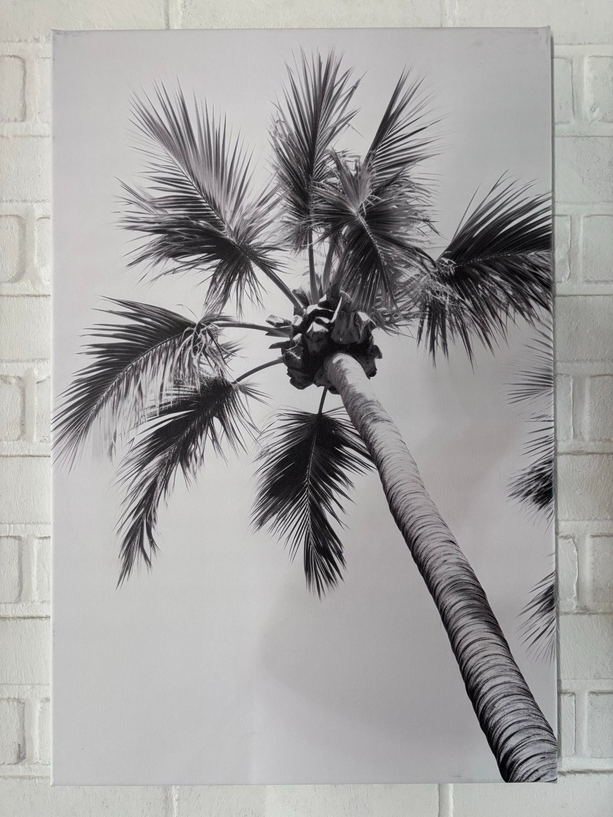 Zwart-wit canvas palmboom WALLFIELD, Ophalen of Verzenden, Zo goed als nieuw, Foto of Poster, 75 – 100