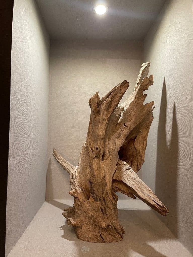 Ramon Monsanto Desert Flower – Hout | Ramon Monsanto, Ophalen, Overige onderwerpen, Houtsnijwerk, 50 - 100 cm
