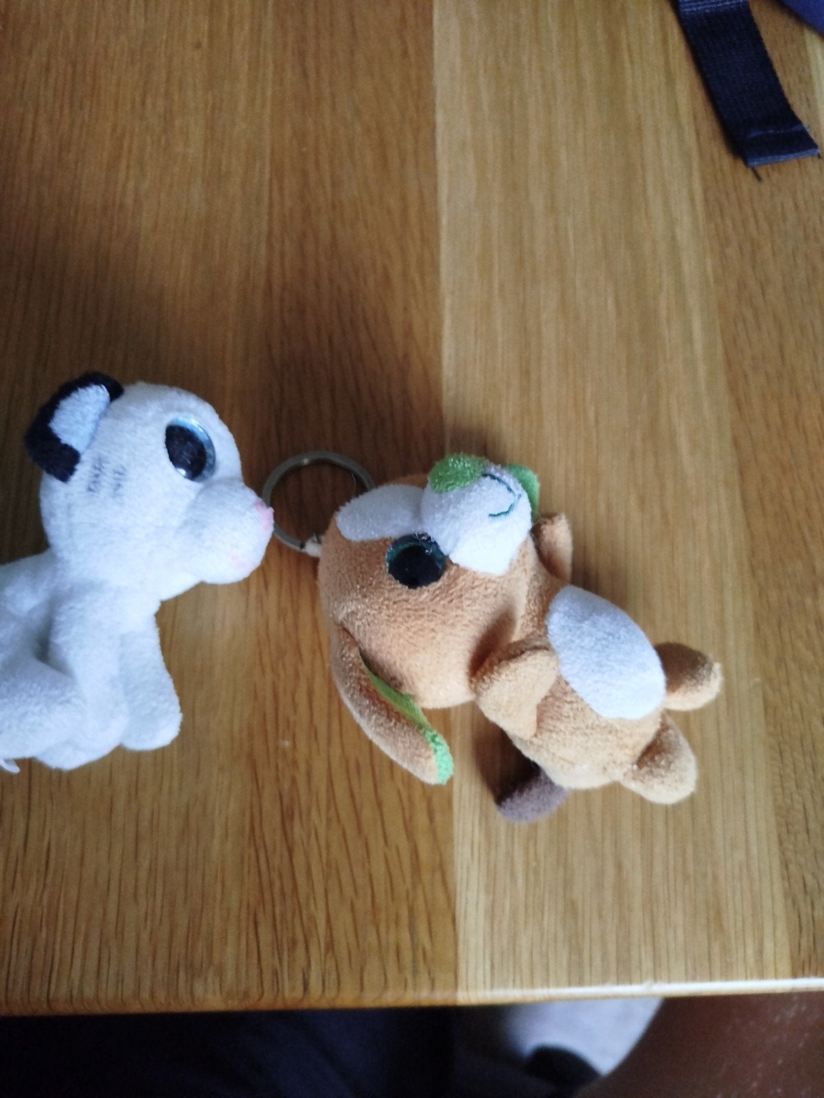 Leuke knuffel sleutelhangers - wit en bruin, Gebruikt, Overige typen, Ophalen of Verzenden, Met label