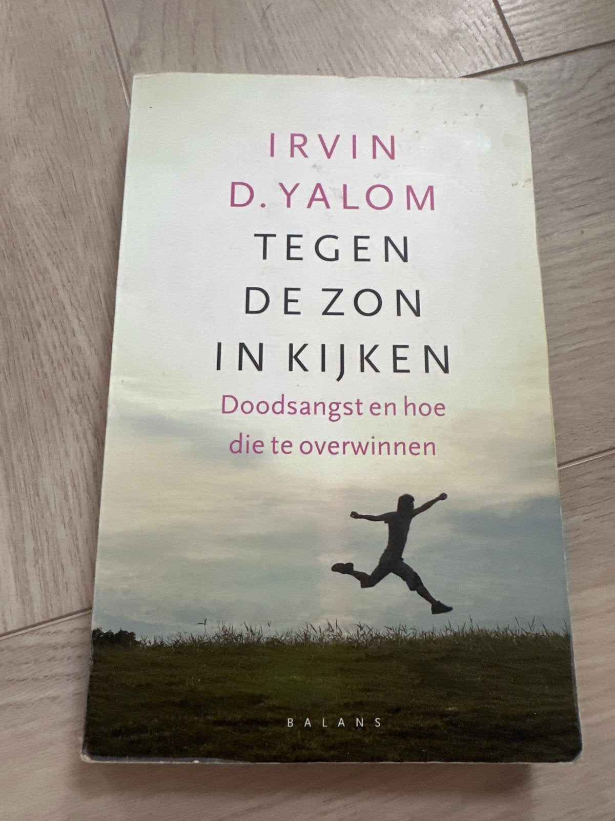 Tegen de Zon In Kijken - Irvin D. Yalom, Boeken, Ophalen of Verzenden, Gelezen, Klinische psychologie
