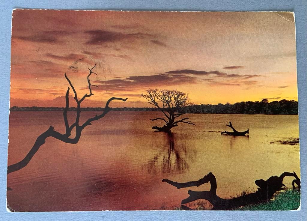 zonsondergang Tissawewa, Ceylon nu Sri Lanka, Ophalen of Verzenden, 1960 tot 1980, Gelopen, Buiten Europa