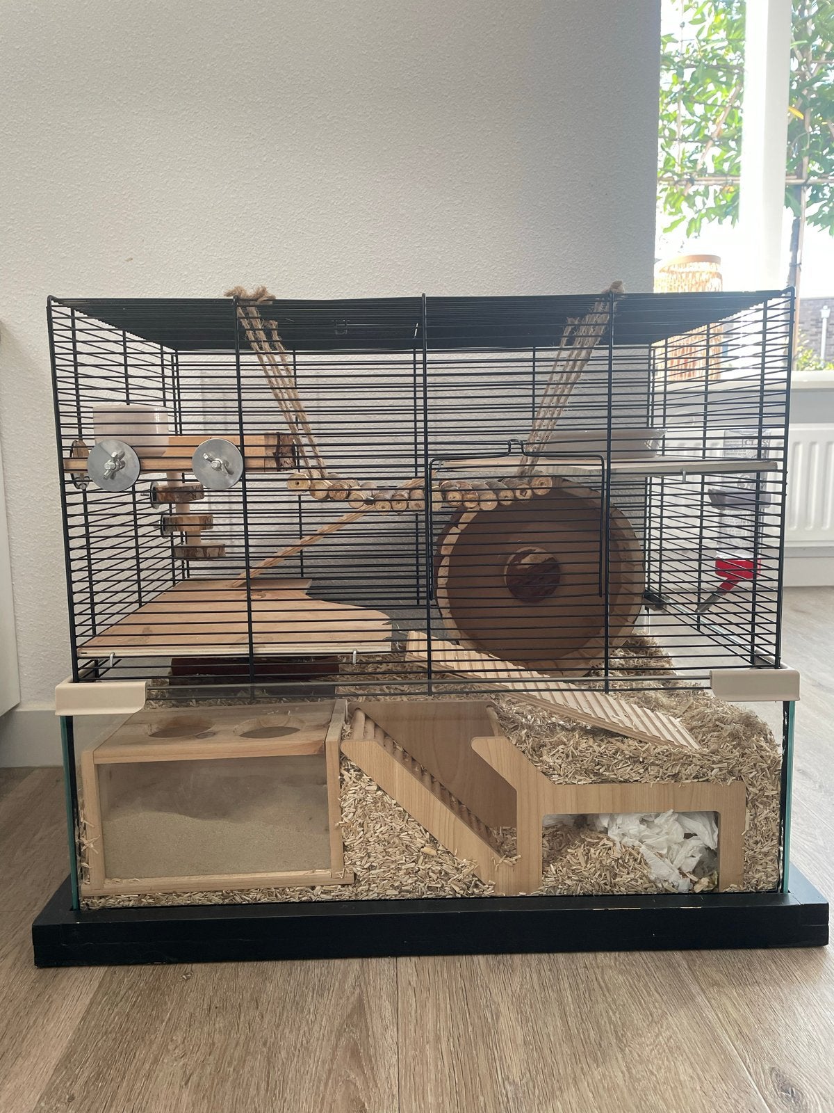 Hamster met hamsterkooi + accessoires, Hamster, Mannelijk, December, Tam