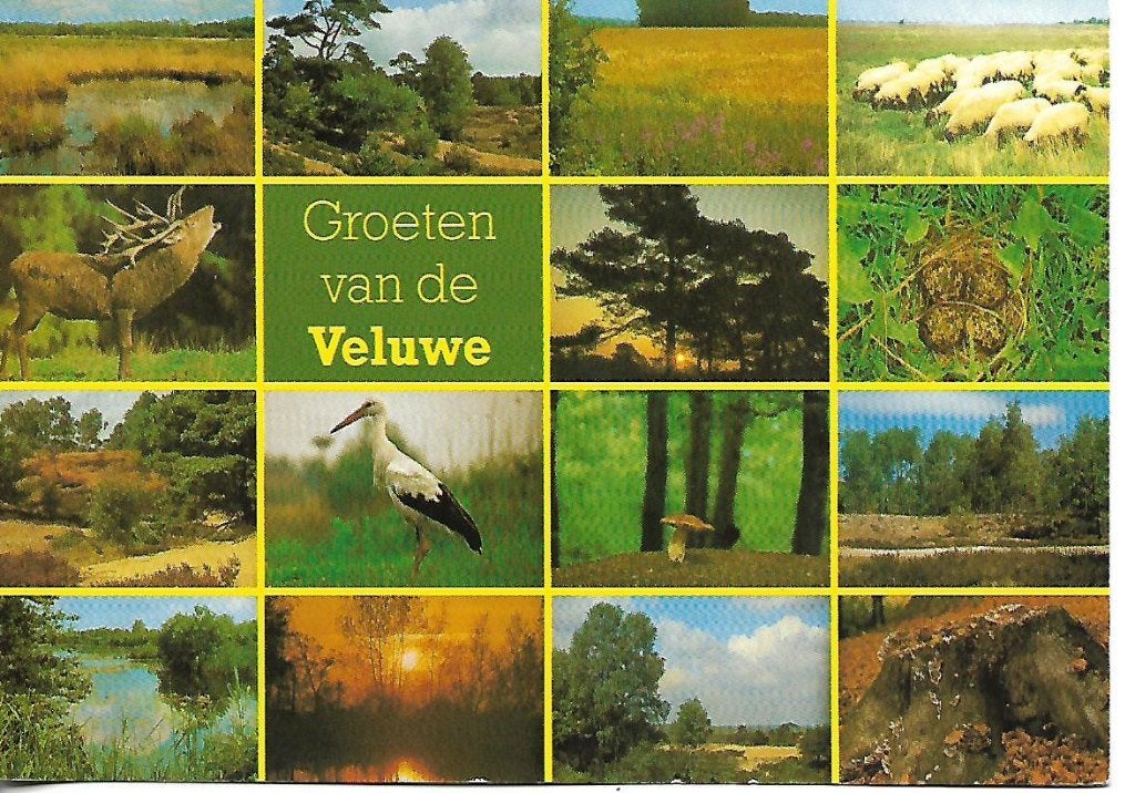 Gelderland- -15-luik., Ophalen of Verzenden, 1960 tot 1980, Gelopen, Gelderland