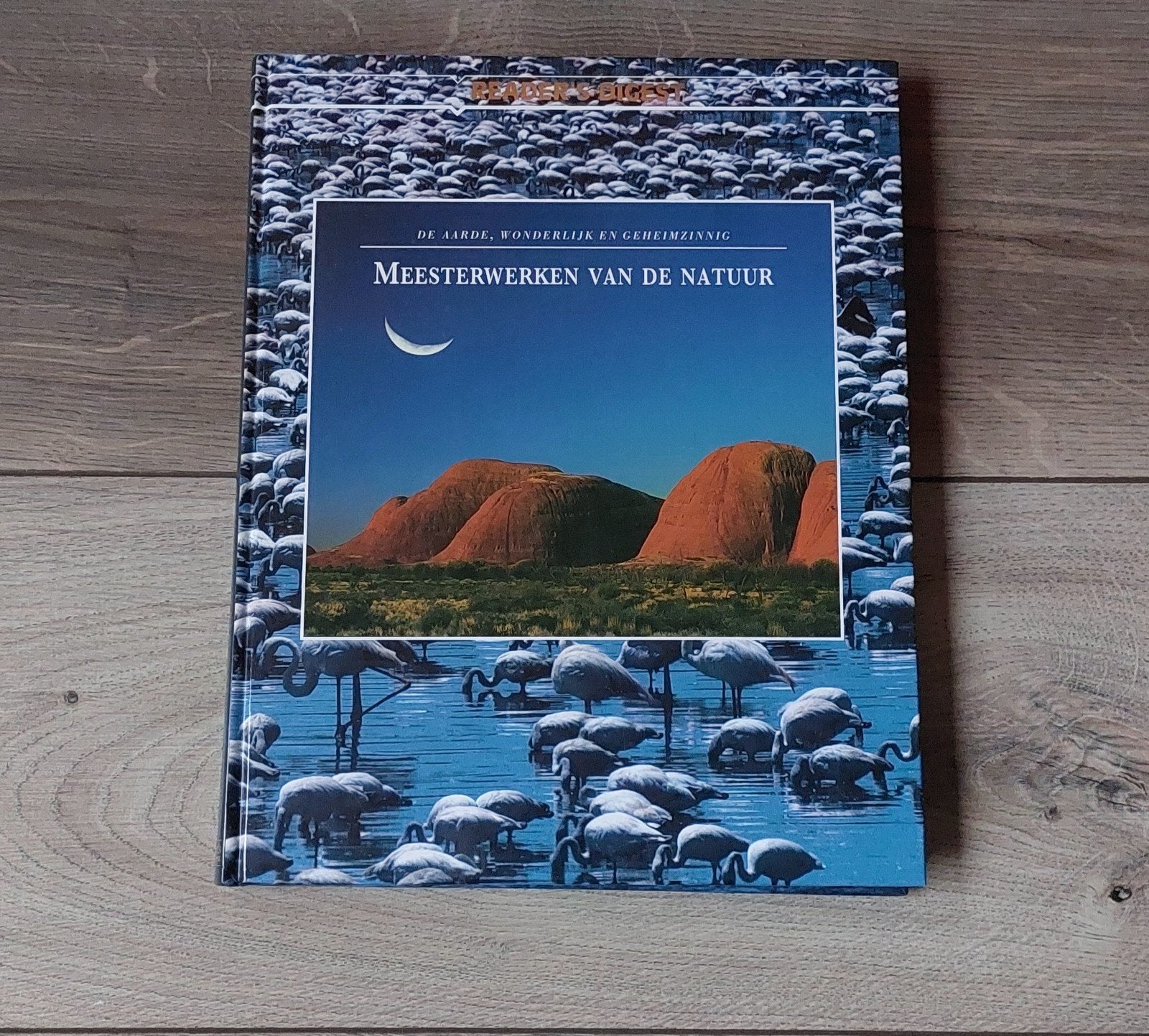 BOEK Meesterwerken van de Natuur, Boeken, Ophalen of Verzenden, Zo goed als nieuw, Natuur algemeen, Reader's Digest