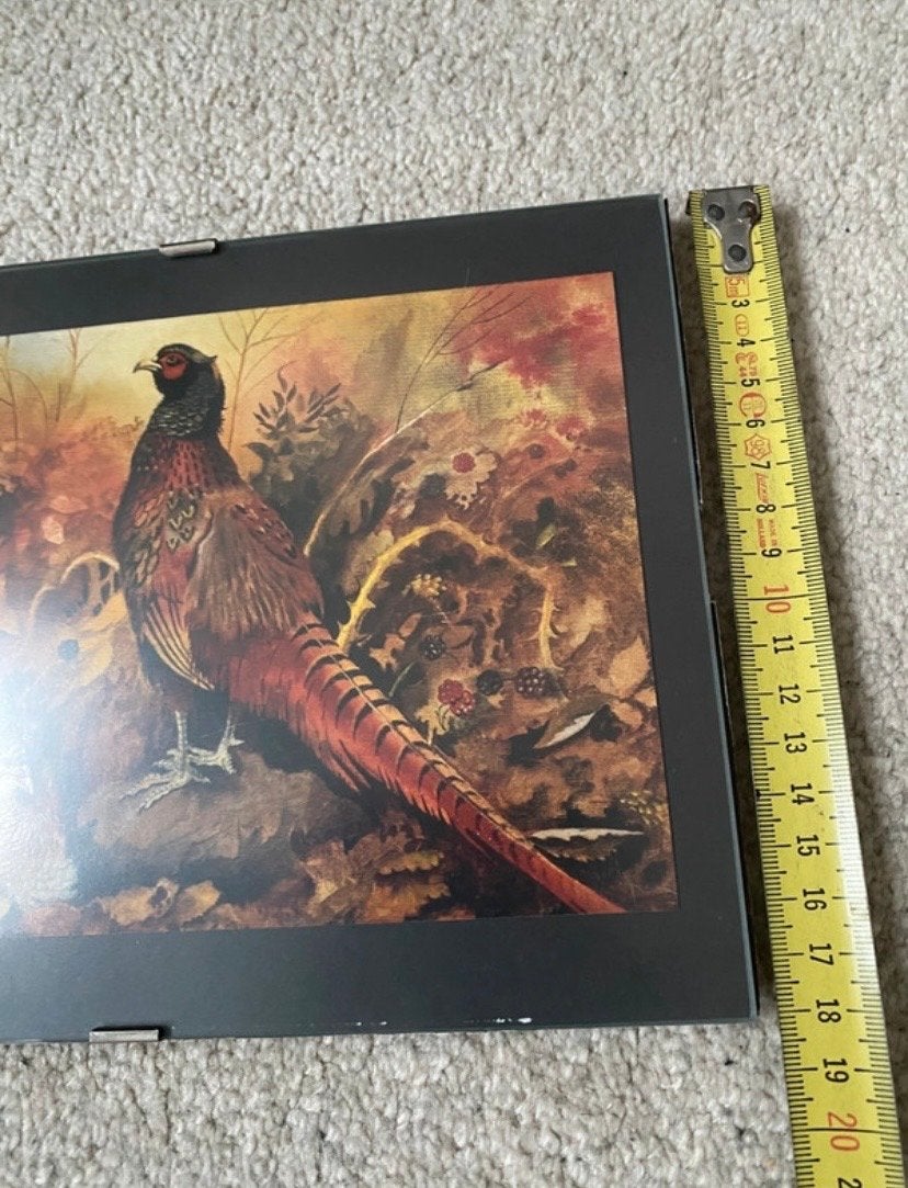 Fazant afbeelding- Jachttafereel glas, Minder dan 50 cm, Ophalen of Verzenden, Zo goed als nieuw, Foto of Poster