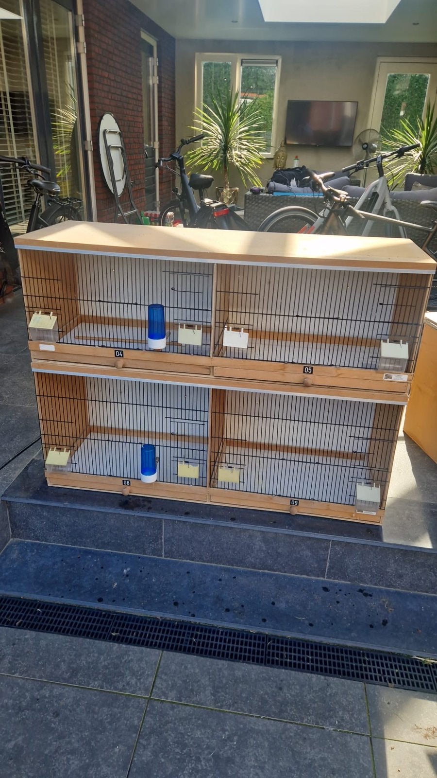 Broedkooien compleet, Ophalen, Gebruikt, Hout, Broedkooi of Kweekkooi