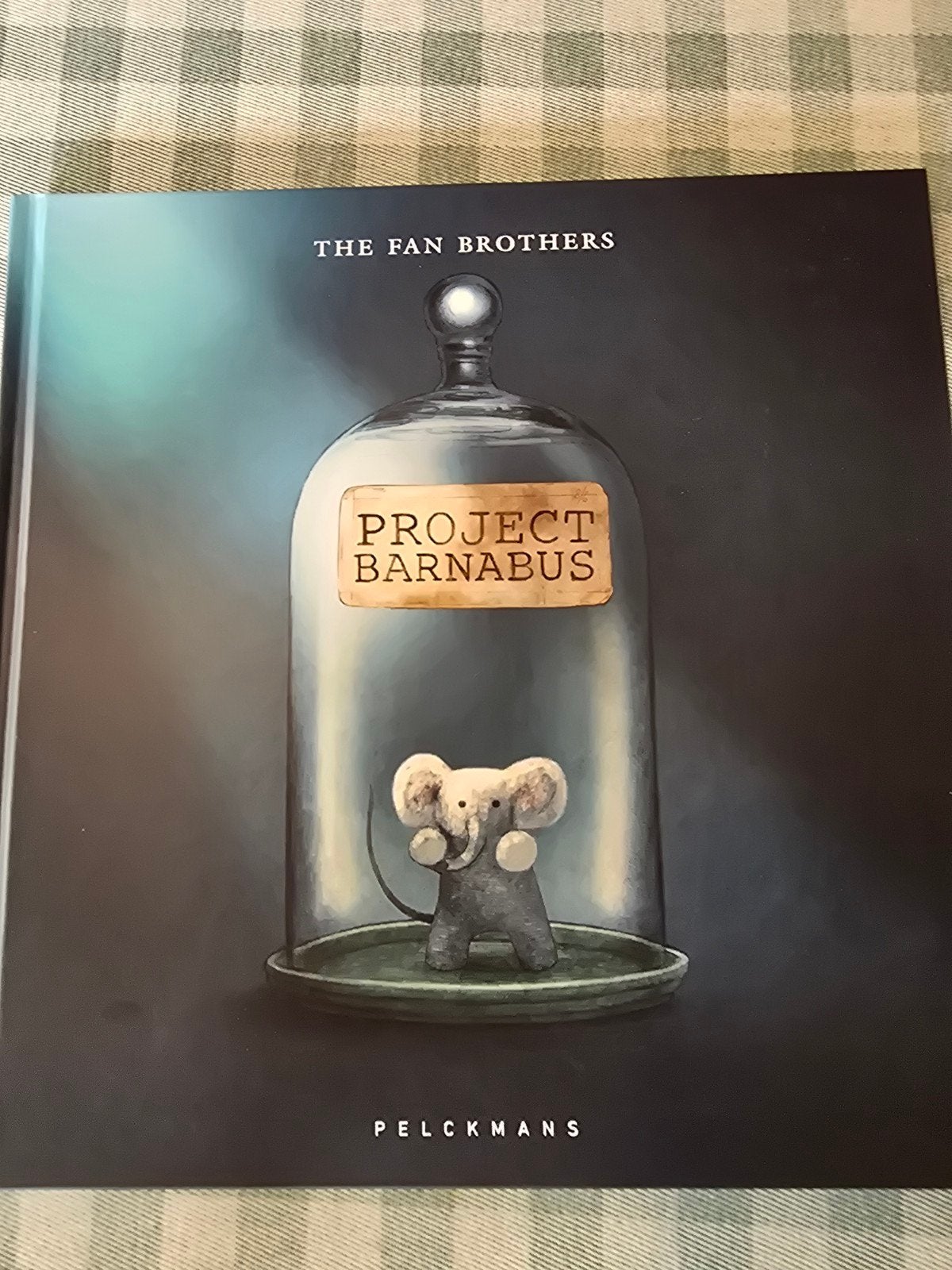 Project Barnabus - The Fan Brothers (Prentenboek), Ophalen of Verzenden