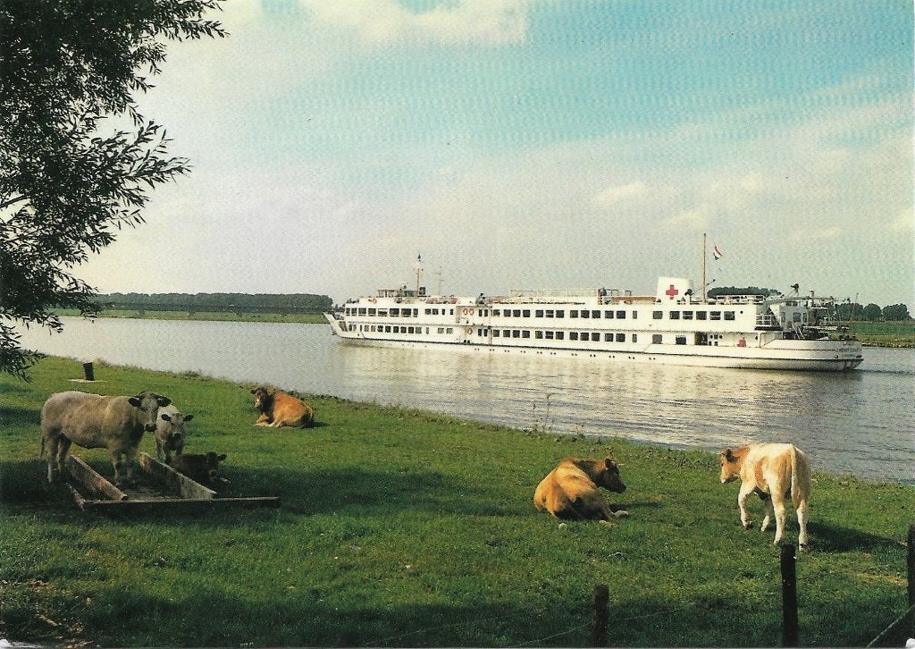 Ansichtkaart  	ms J. Henry Dunant	Vakantieschip Rode Kruis, Verzenden, 1960 tot 1980, Gelopen, Voertuig