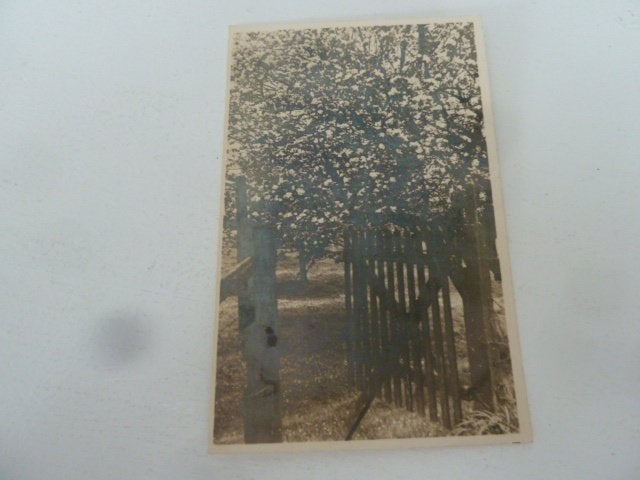 Arkel circa 1950 Fotokaart Jeugdherberg De Pinksterblom, Verzamelen, Ophalen of Verzenden, 1940 tot 1960, Ongelopen
