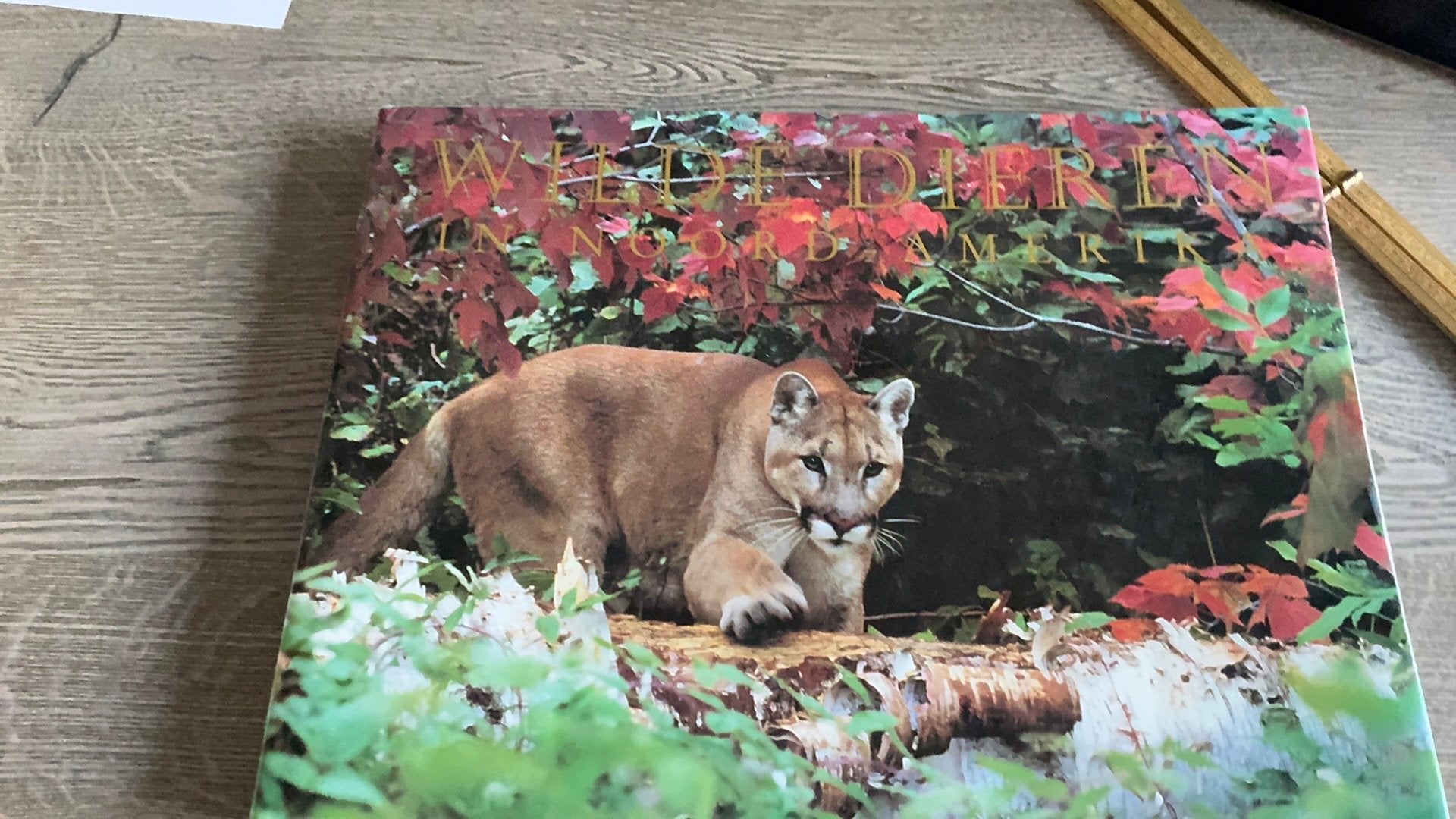 Wilde dieren in noord amerika, Boeken, Natuur, Ophalen of Verzenden, Zo goed als nieuw, Natuur algemeen