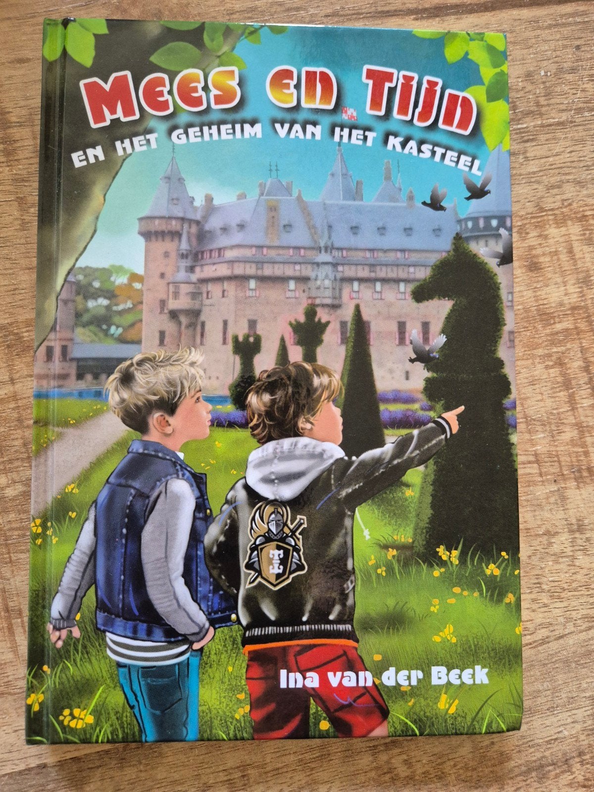 Mees en Tijn en het geheim van het kasteel Ina van der Beek, Boeken, Ophalen of Verzenden, Zo goed als nieuw, Ina van der Beek