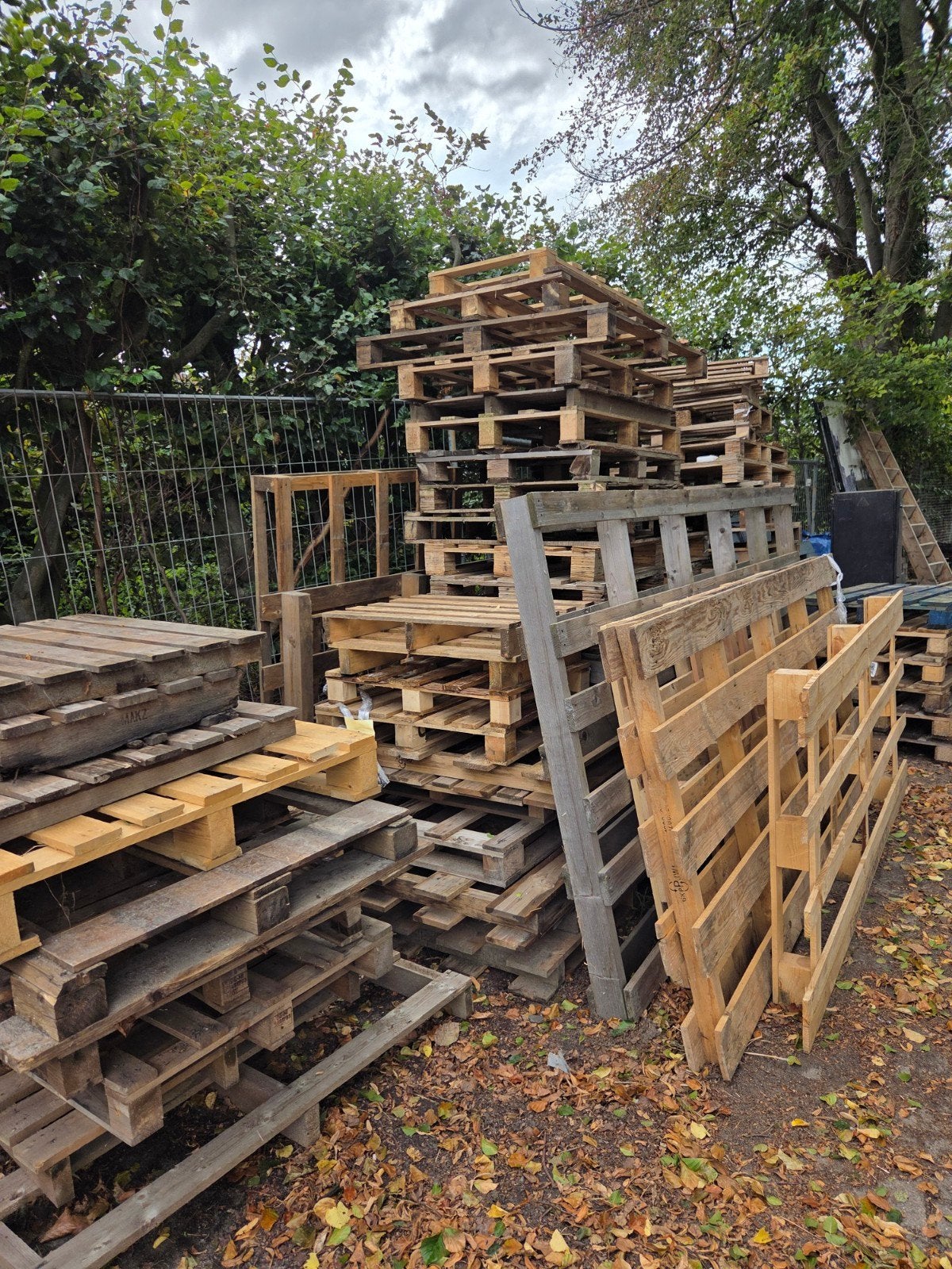 Diverse gebruikte pallets voor diverse projecten, Ophalen, Gebruikt, 50 mm of meer, Pallet