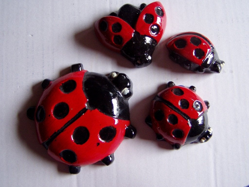 Setje lieveheersbeestjes, Ophalen of Verzenden, Nieuw, Overige materialen, Dierenbeeld