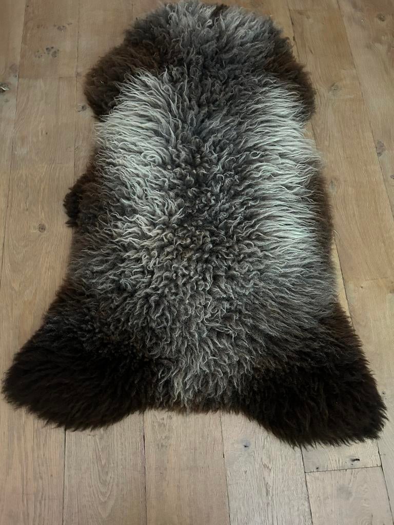 Te koop vacht, Ophalen, Nieuw