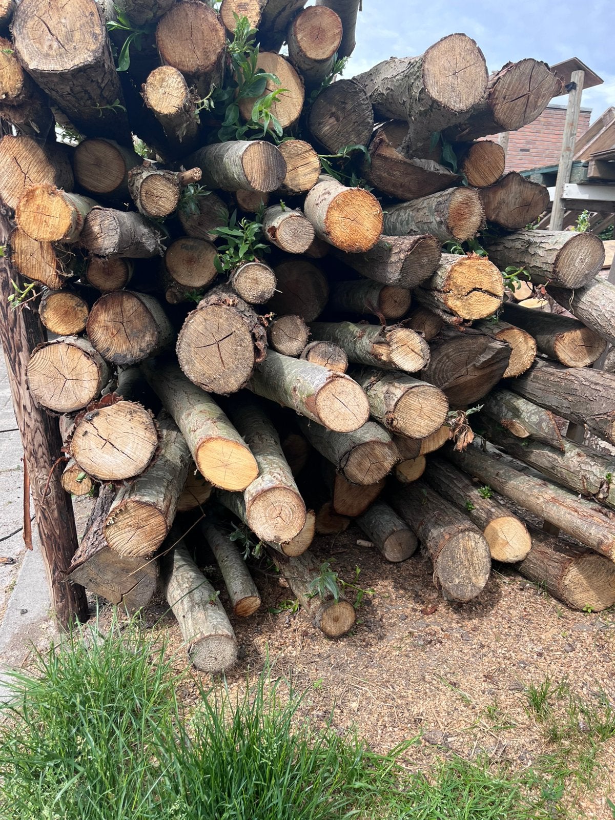 Haardhout, Minder dan 3 m³, Ophalen