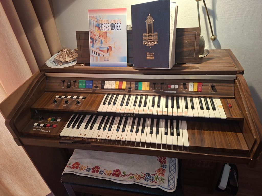 Elektrisch orgel, Muziek en Instrumenten, Orgels, Ophalen, Gebruikt, 2 klavieren, Orgel