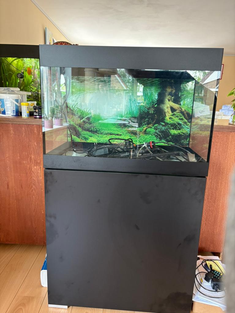 High-end set: Oase StyleLine 125 + Chihiros WRGB + CO2 + JBL, Dieren en Toebehoren, Vissen | Aquaria en Toebehoren, Ophalen, Inclusief deksel