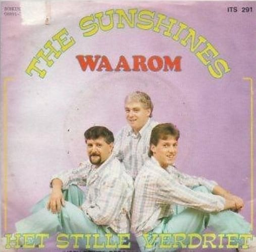 Single (1987) de Sunshines - Waarom / Het Stille Verdriet, Gebruikt, 7 inch, Ophalen of Verzenden, Fotohoes