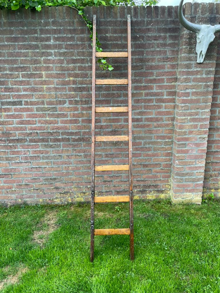 Ladder, Doe-het-zelf en Verbouw, Ladders en Trappen, Ophalen, Gebruikt, Ladder, 2 tot 4 meter