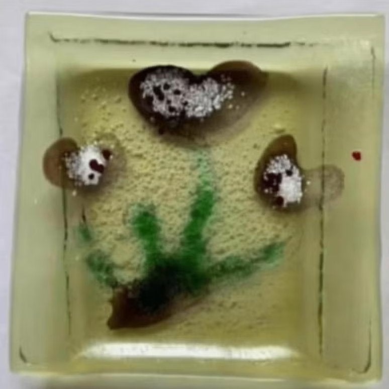 Glazen, handgemaakt, uniek theetipje bloemen hartjes harten, Ophalen of Verzenden, Overige stijlen, Glas, Schaal of Schalen
