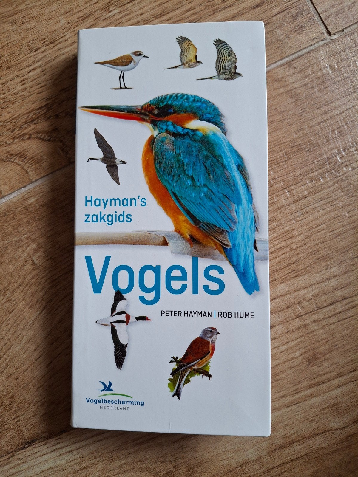 Peter Hayman - Hayman's Zakgids Vogels, Peter Hayman; Rob Hume, Ophalen of Verzenden, Zo goed als nieuw, Vogels