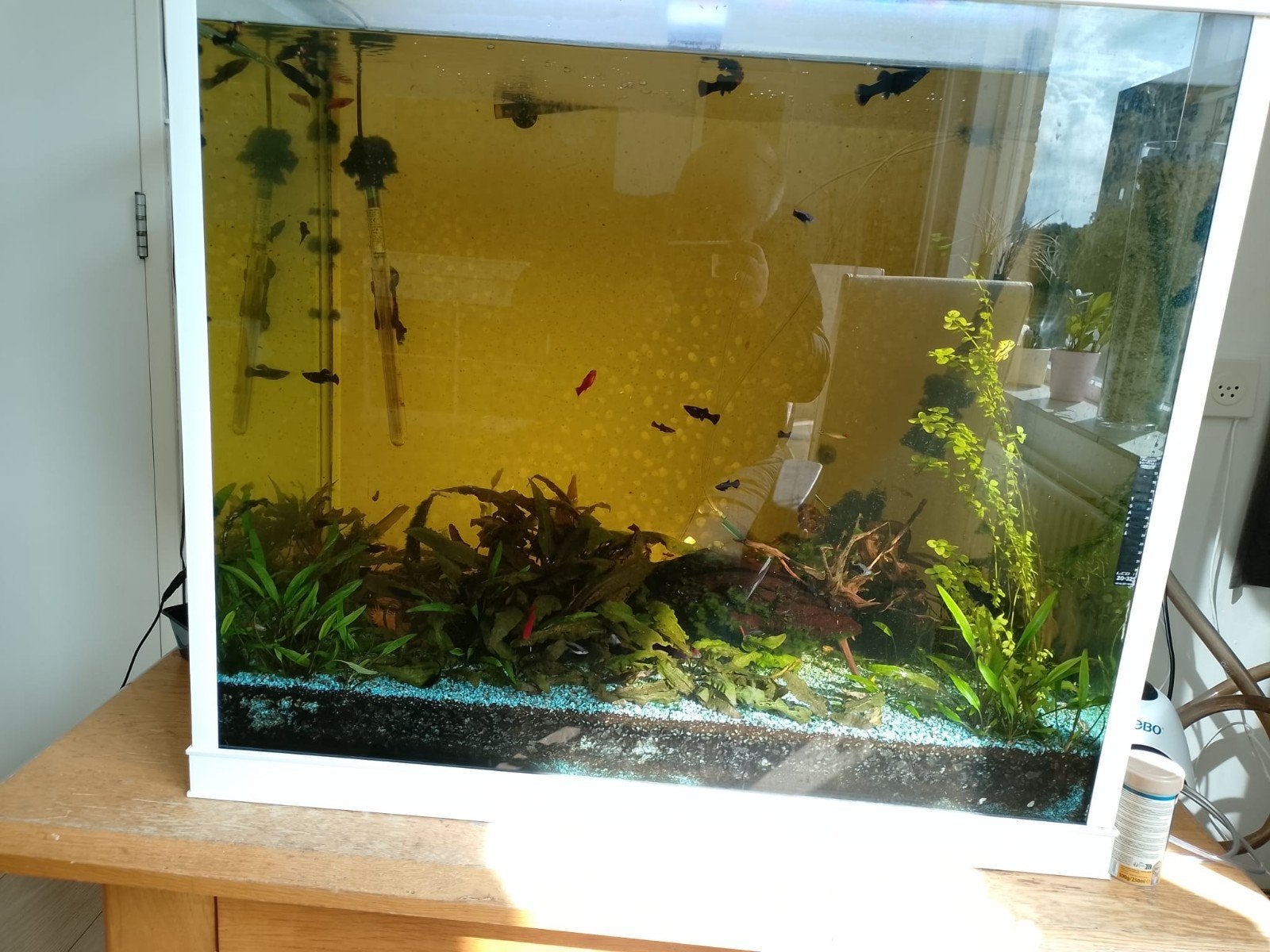 groot aquarium zonder inhoud met pomp en verwarming, Dieren en Toebehoren, Ophalen, Leeg aquarium