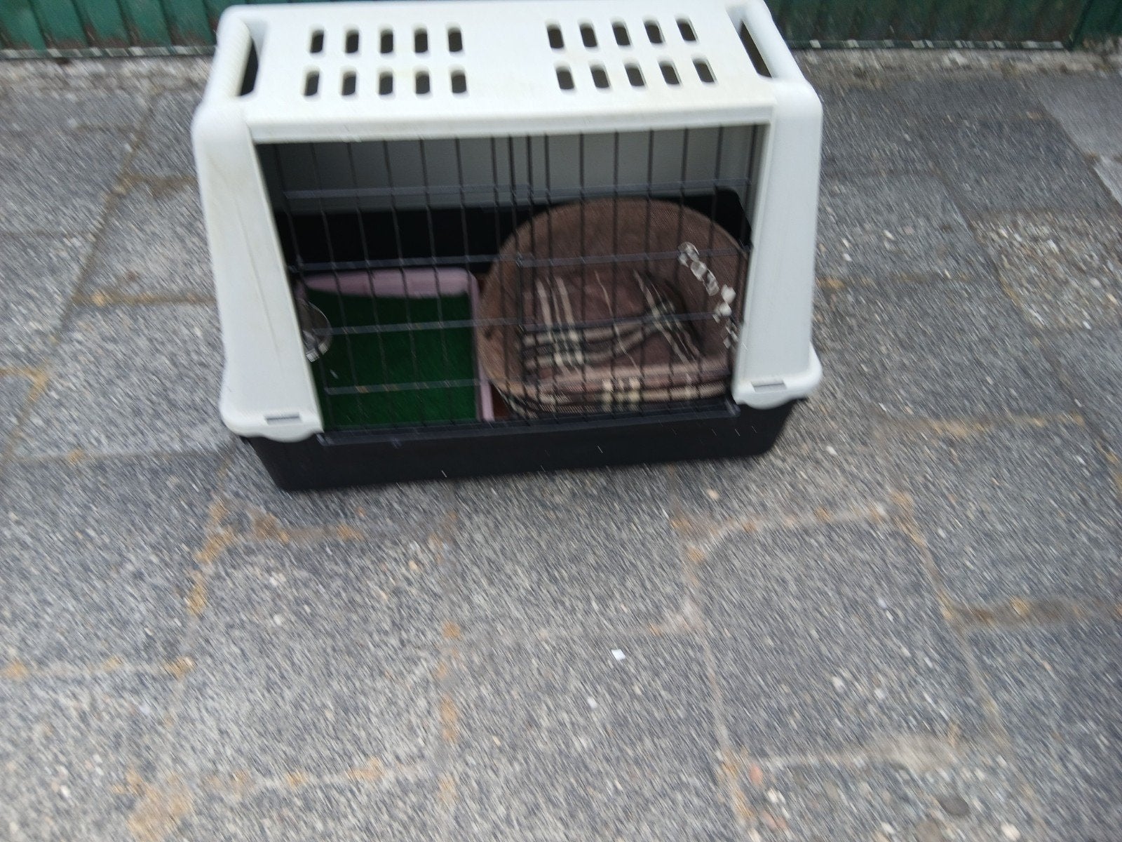 honden bench, Ophalen, Zo goed als nieuw