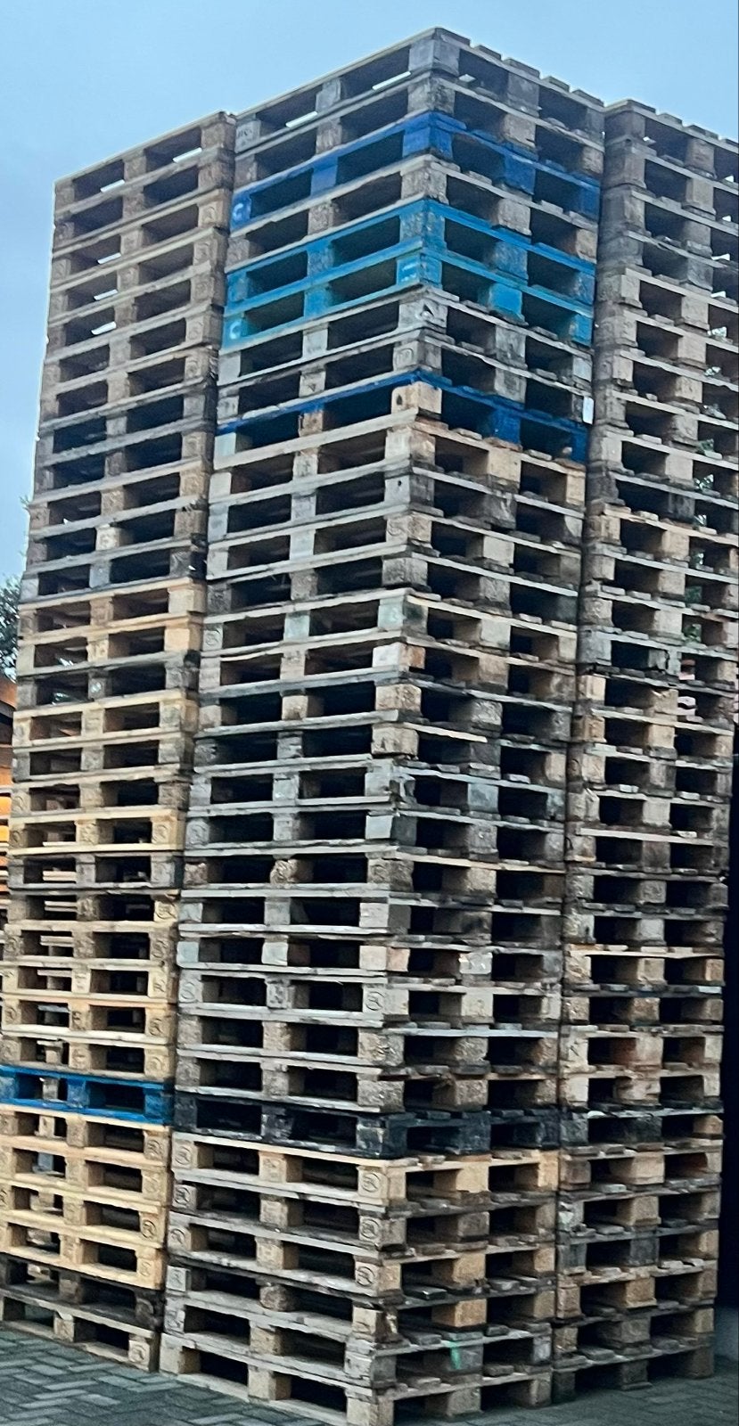 Europallets te koop - circa 250 stuks, Ophalen of Verzenden