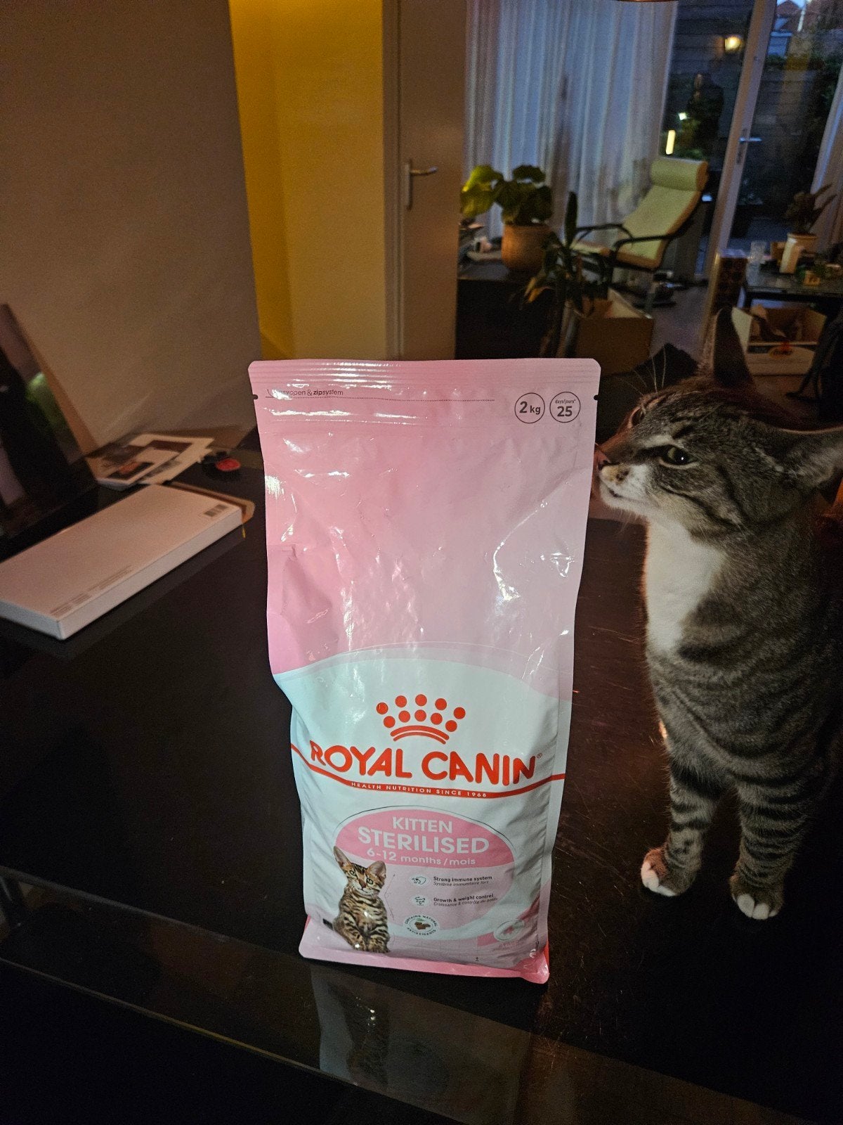 Royal Canin kitten sterilised 2kg, Dieren en Toebehoren, Dierenvoeding, Ophalen of Verzenden, Kat