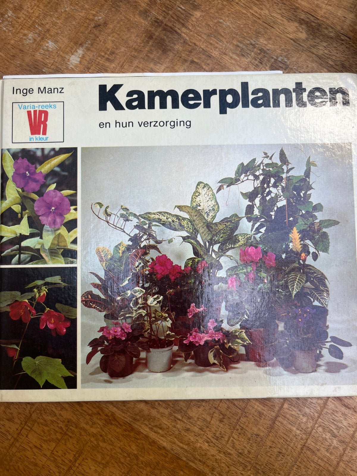 Kamerplanten en hun verzorging - Inge Manz, Ophalen of Verzenden, Gelezen, Kamerplanten