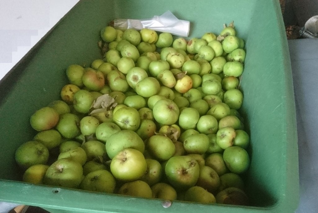 moes appels per kilo € 0,50, Ophalen