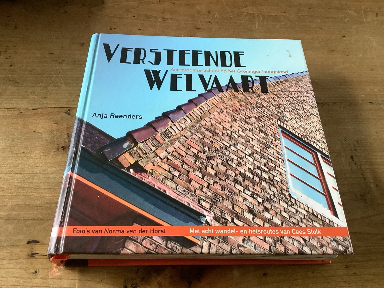 Versteende Welvaart: Amsterdamse School op het Groninger Hoo, Boeken, Ophalen of Verzenden, Zo goed als nieuw, Architectuur algemeen