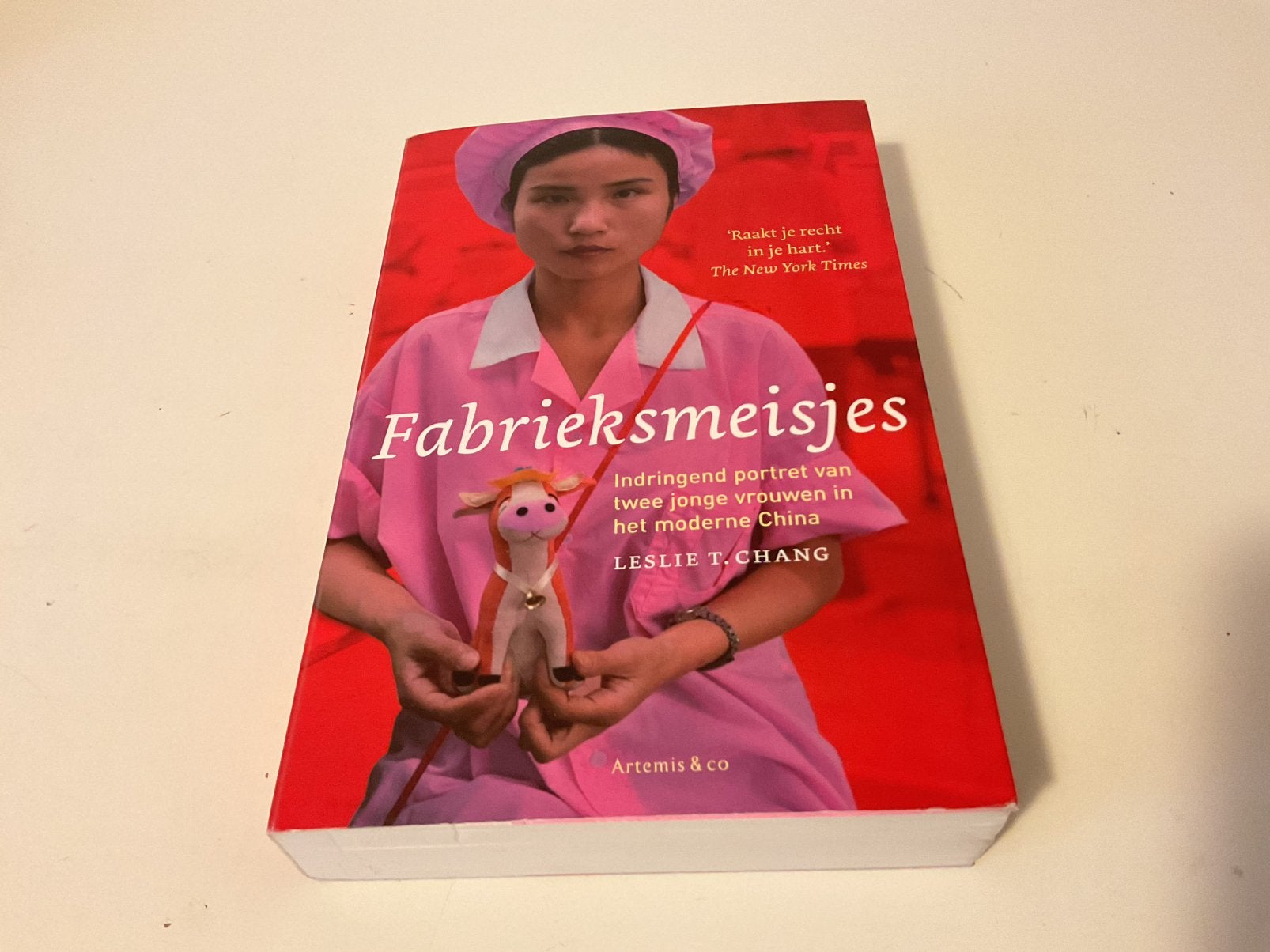 L.T. Chang - Fabrieksmeisjes, Ophalen of Verzenden, Zo goed als nieuw, L.T. Chang