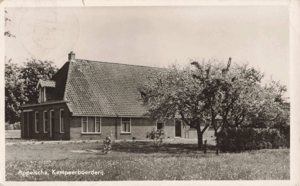 Appelscha Kampeerboerderij Zandstra L3102, Ophalen, 1960 tot 1980, Gelopen, Friesland
