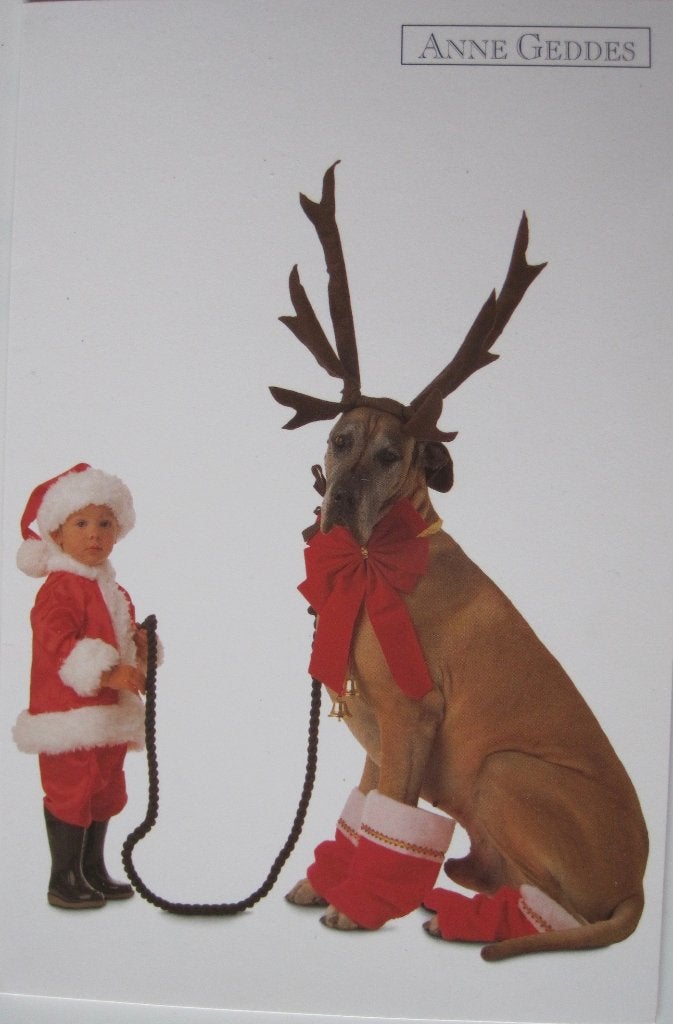 Anne Geddes - kind met rendier - dubbele kaart - 1999, Verzenden, 1980 tot heden, Ongelopen, Kinderen