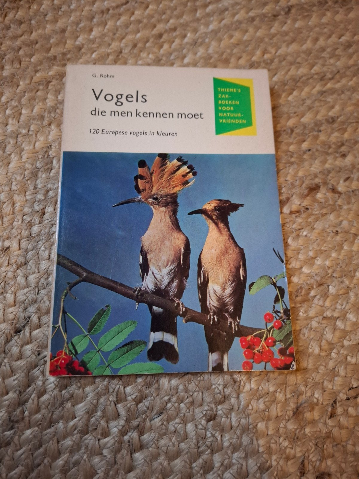 Vogels die men kennen moet - G. Rohm (Thieme's Zakboek), Ophalen of Verzenden, Gelezen, G. Rohm