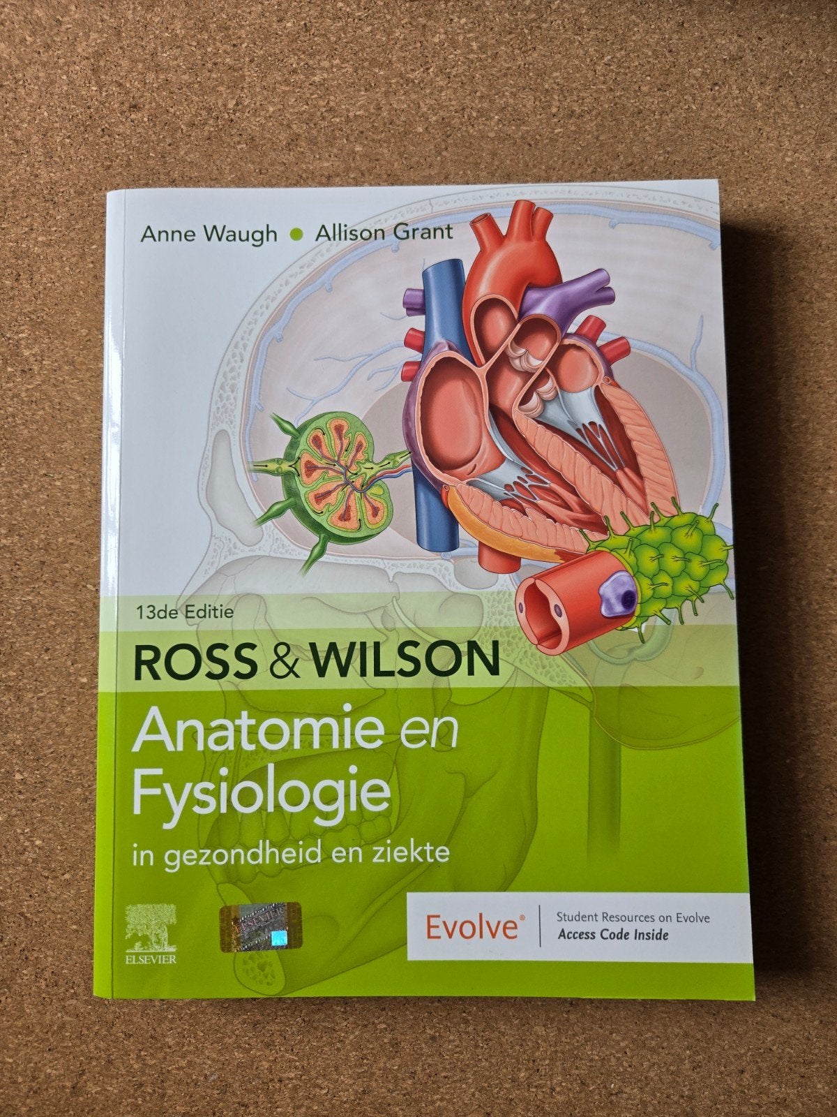 Ross & Wilson Anatomie en Fysiologie - 13e Editie, Boeken, Ophalen of Verzenden, Zo goed als nieuw, Anne Waugh & Allison Grant