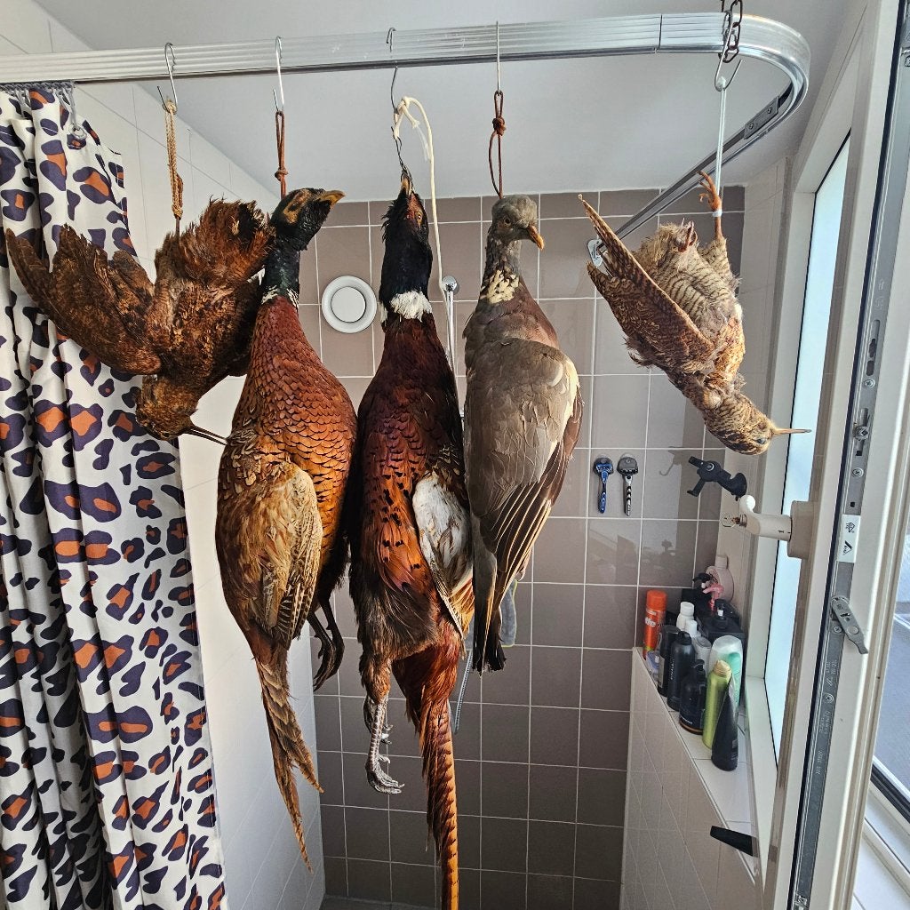 Opgezet jacht wild opgezette taxidermie taxidermy wildhaak, Ophalen of Verzenden, Gebruikt, Vogel, Opgezet dier
