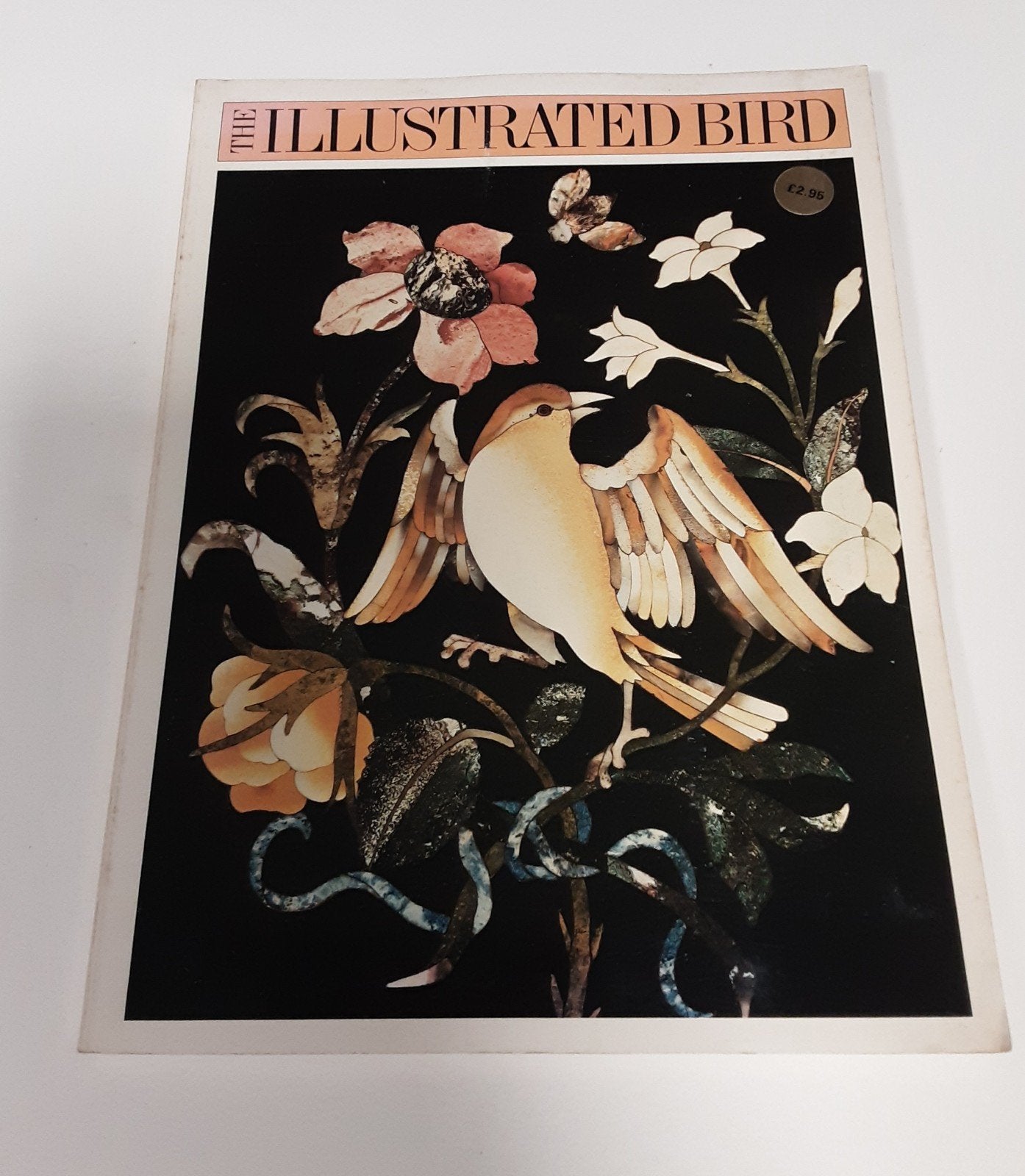 The Illustrated Bird - 1978 softcover, 80 pagina's, Ophalen of Verzenden, Zo goed als nieuw, Schilder- en Tekenkunst