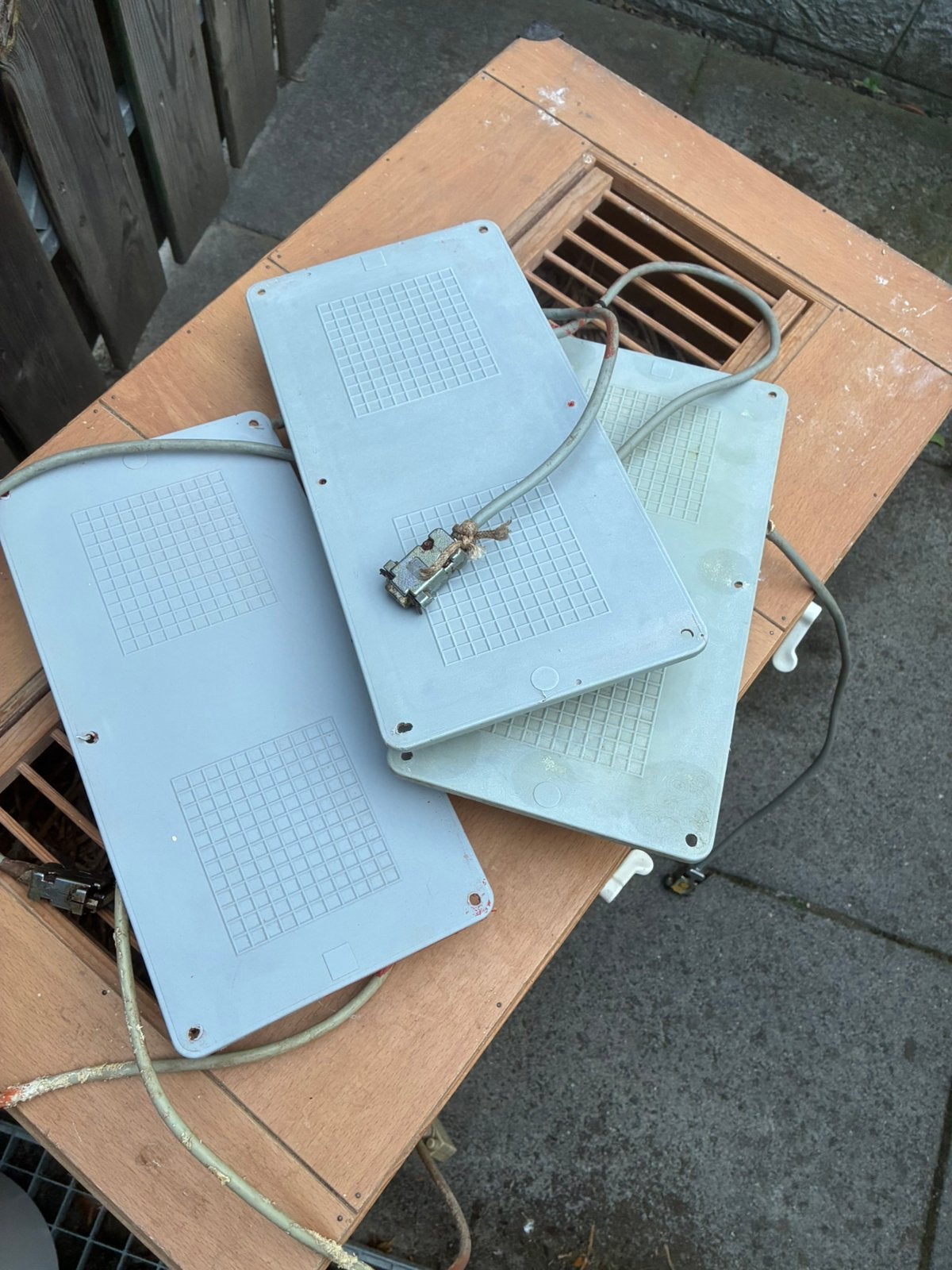 Postduiven unikon antennes, Dieren en Toebehoren, Meerdere dieren, Postduif