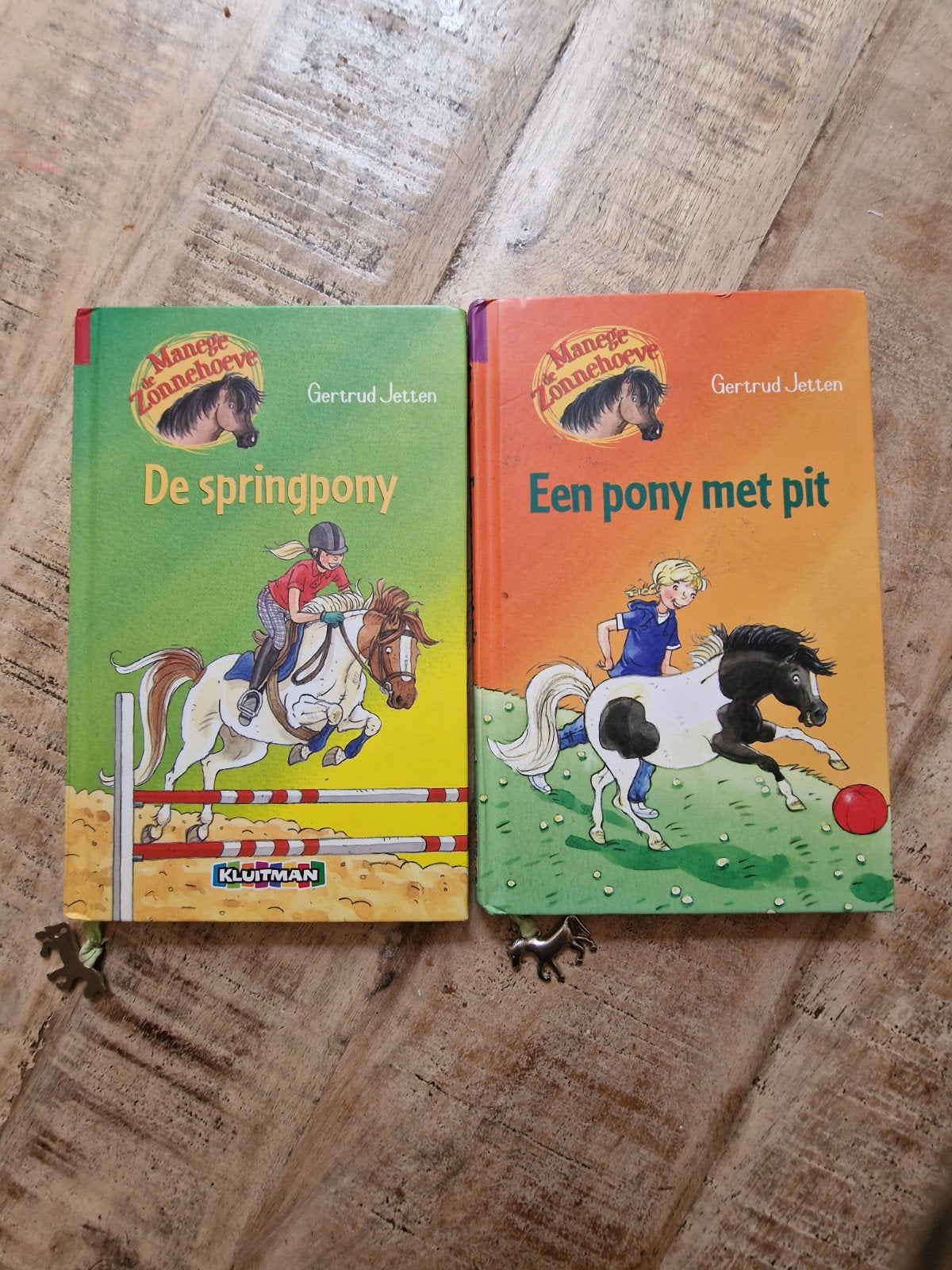 2 hardcover Manege Zonnehoeve: De springpony & Een pony met, Ophalen of Verzenden, Gelezen, Gertrud Jetten, Fictie algemeen