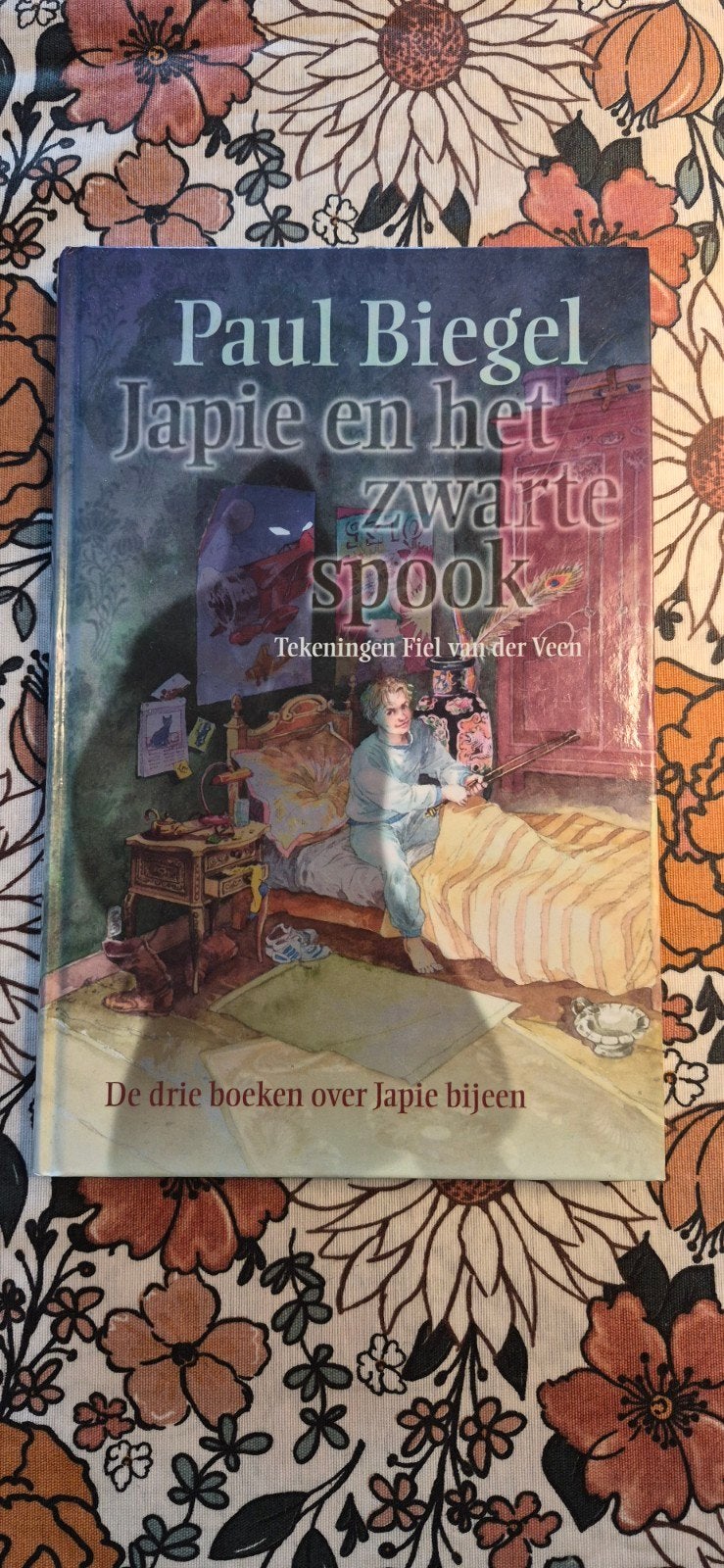 Paul Biegel - Japie en het zwarte spook (zeer goede staat), Ophalen of Verzenden, Zo goed als nieuw, Paul Biegel, Sprookjes