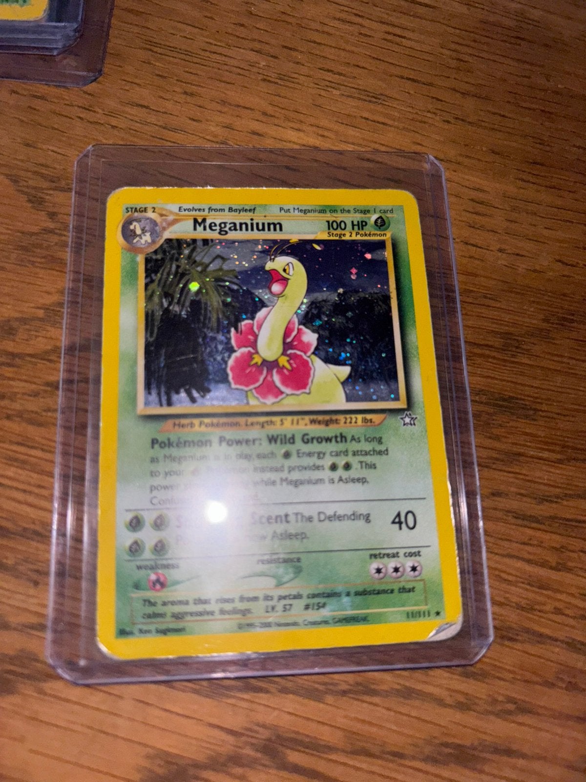 Meganium 11/111 PL holo, Hobby en Vrije tijd, Ophalen of Verzenden, Zo goed als nieuw