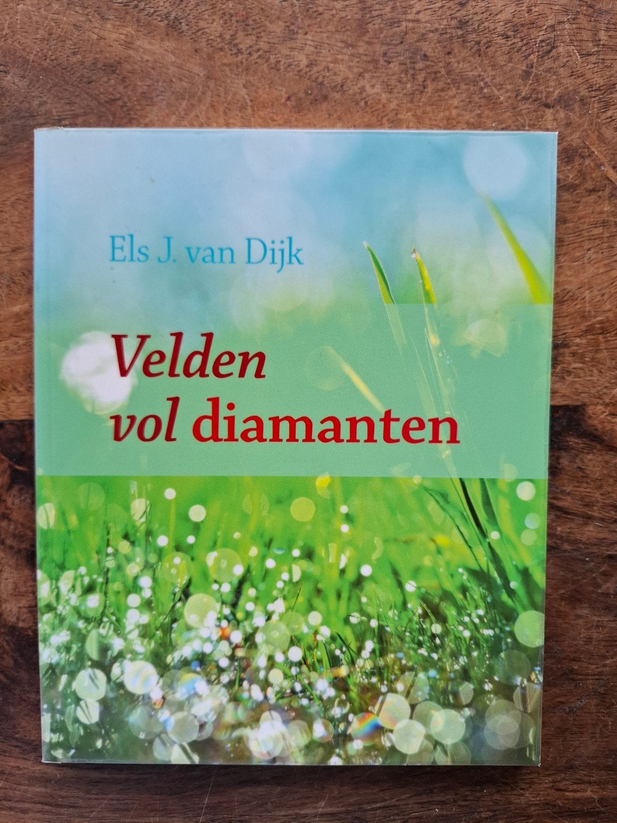 Els J. van Dijk - Velden vol diamanten, Ophalen of Verzenden, Zo goed als nieuw, Els J. van Dijk