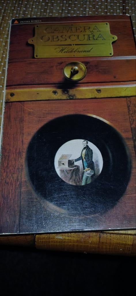 Camera Obscura - Hildebrand, Ophalen of Verzenden