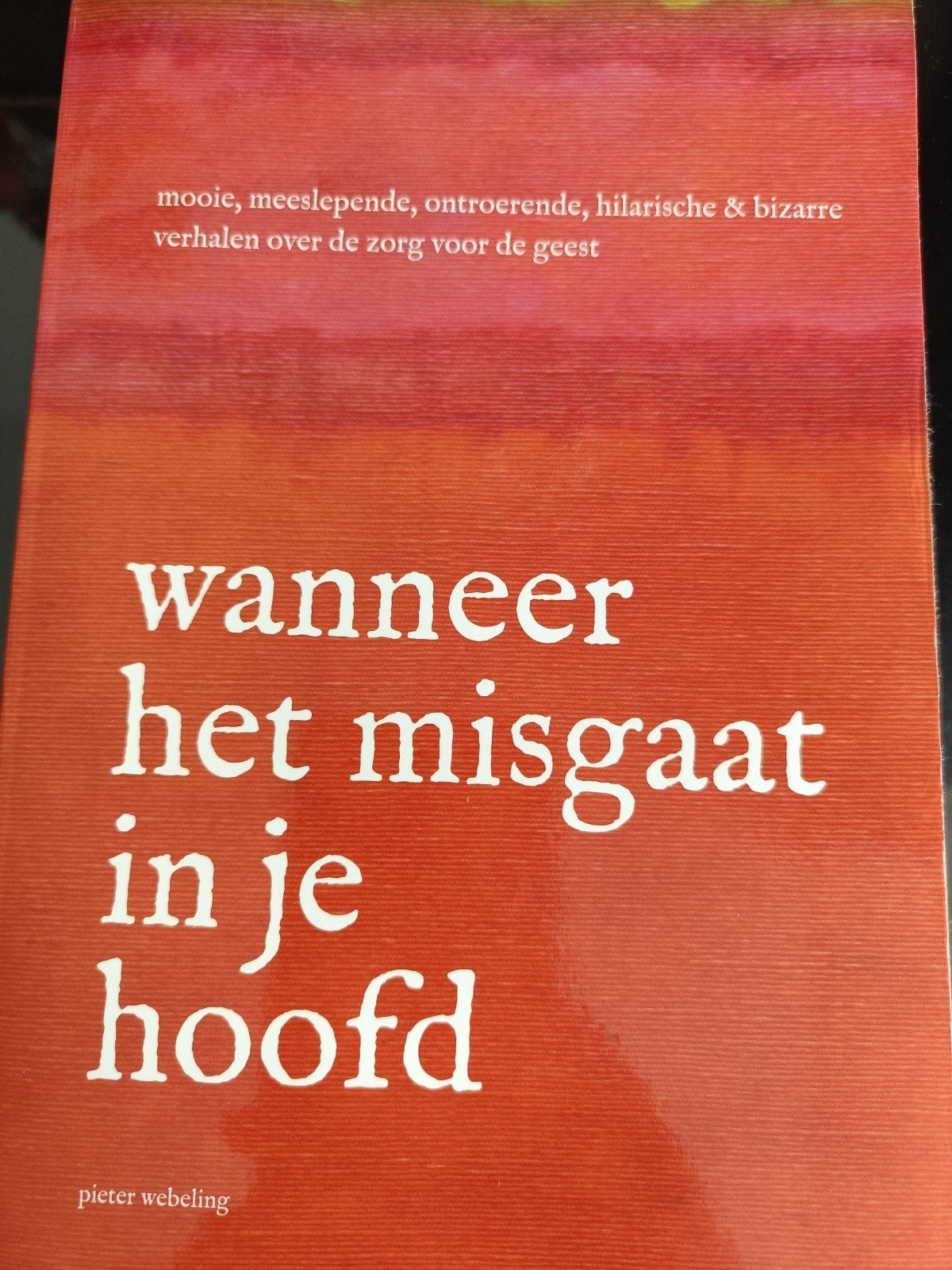 Wanneer het misgaat in je hoofd - Pieter Webeling, Boeken, Ophalen, Zo goed als nieuw, Klinische psychologie, Pieter Webeling