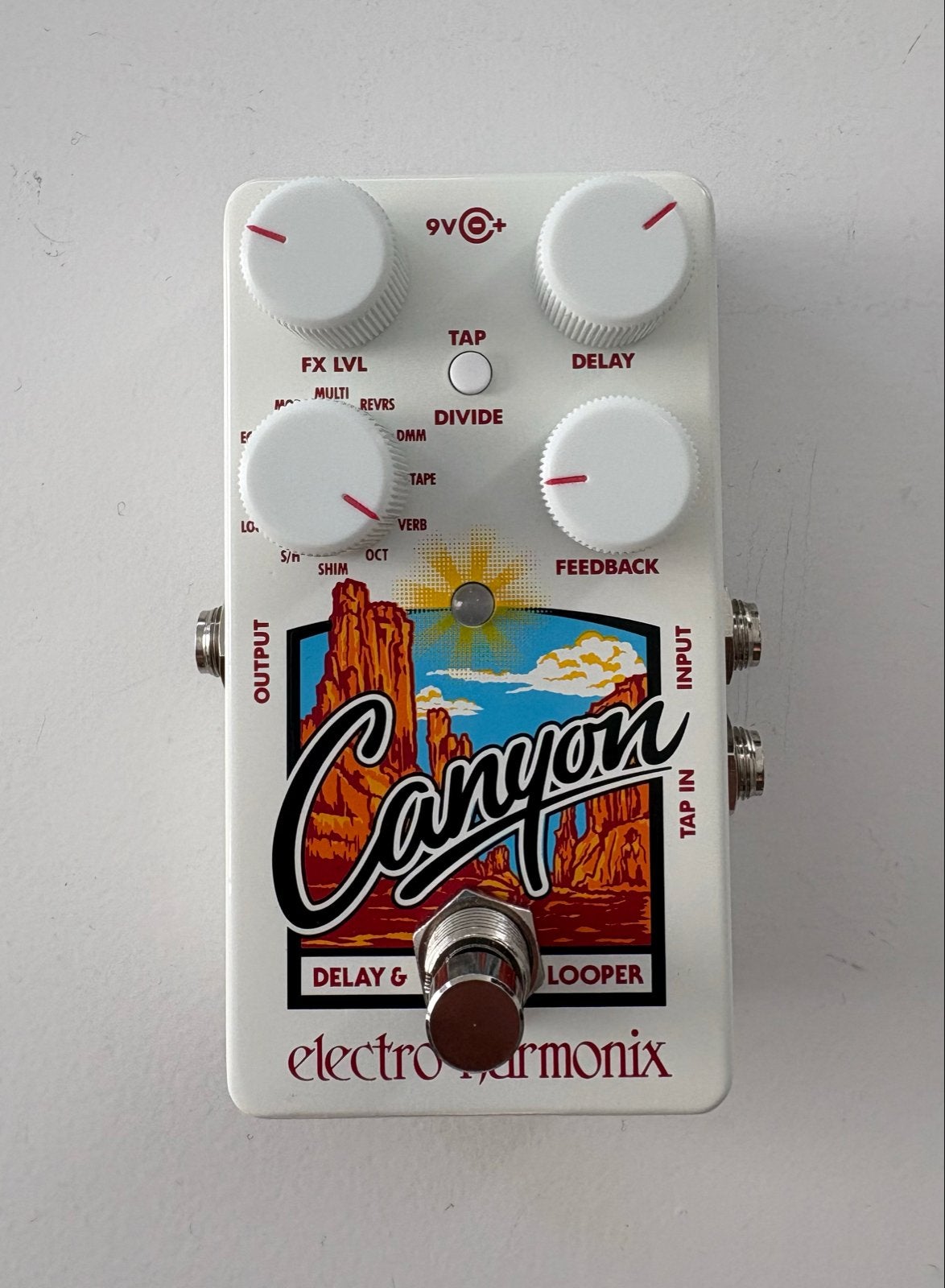 Electro-Harmonix Canyon Delay & Looper pedal, Ophalen of Verzenden, Zo goed als nieuw, Delay of Echo