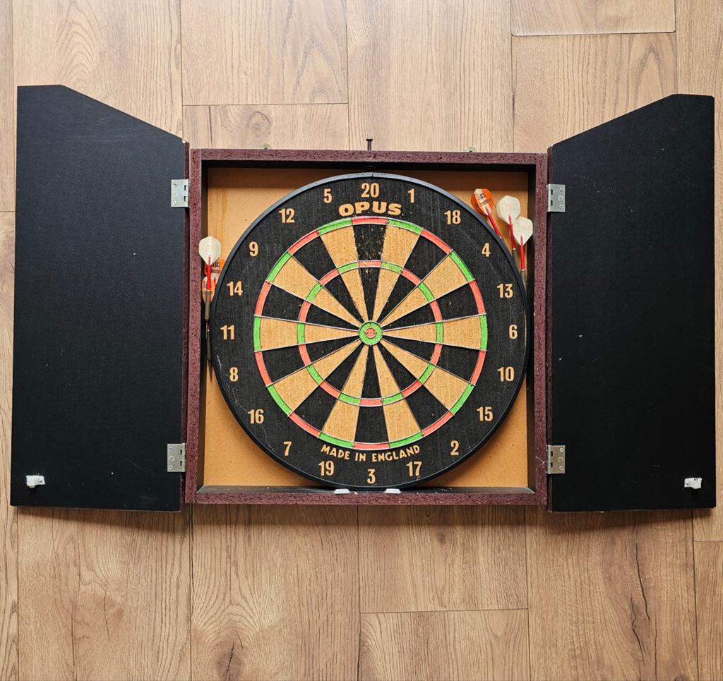 Dartbord, Ophalen of Verzenden, Gebruikt, Dartbord